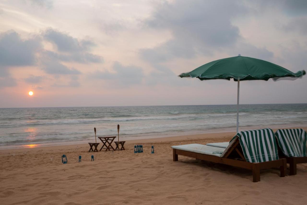 Palm Beach Inn & Sea Shells Cabanas Bentota Eksteriør bilde